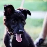 Активная Соня