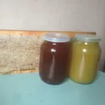 мед,  прополис,  мед в сотах,  воск
