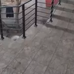 Ограждение из металла под ключ! в Могилеве