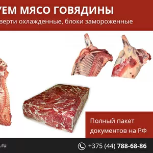 Мясо говядины по выгодным ценам.