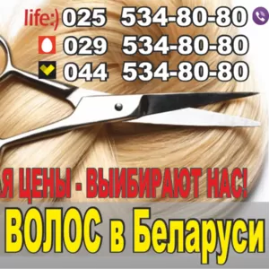 Продать волосы в Могилеве