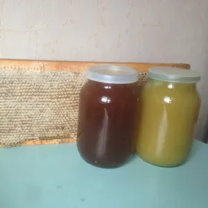 Мед натуральный,  прополис,  перга