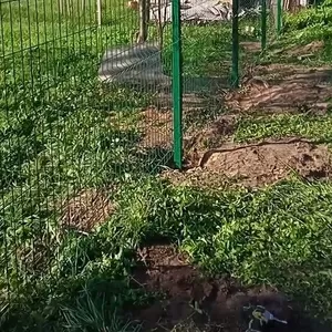 Монтаж 3D 3Д забора в Могилеве под ключ!