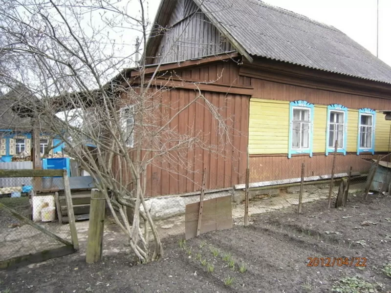 Дом. Дача. Дом под дачу в Чаусах (38 километров от Могилева) 2
