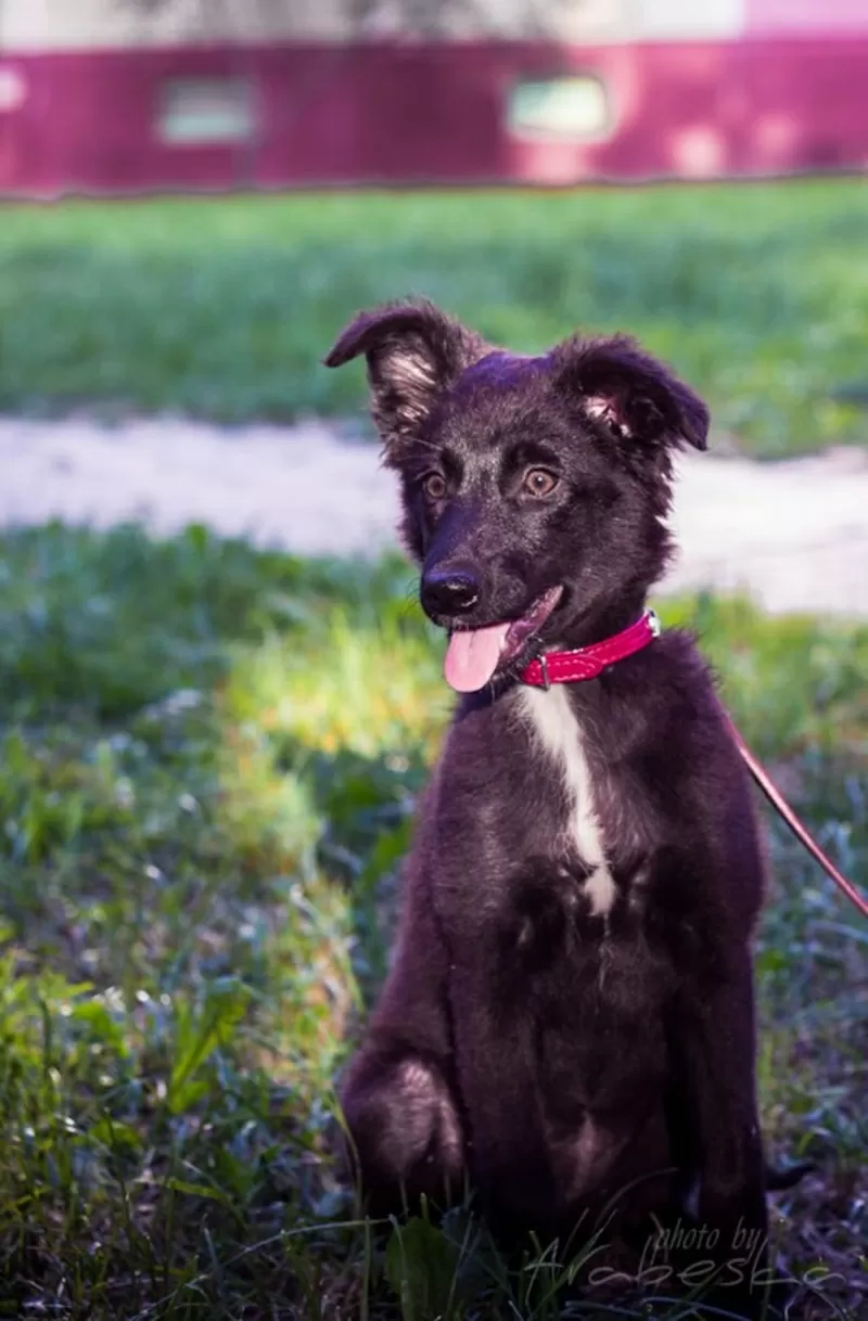 Активная Соня 2