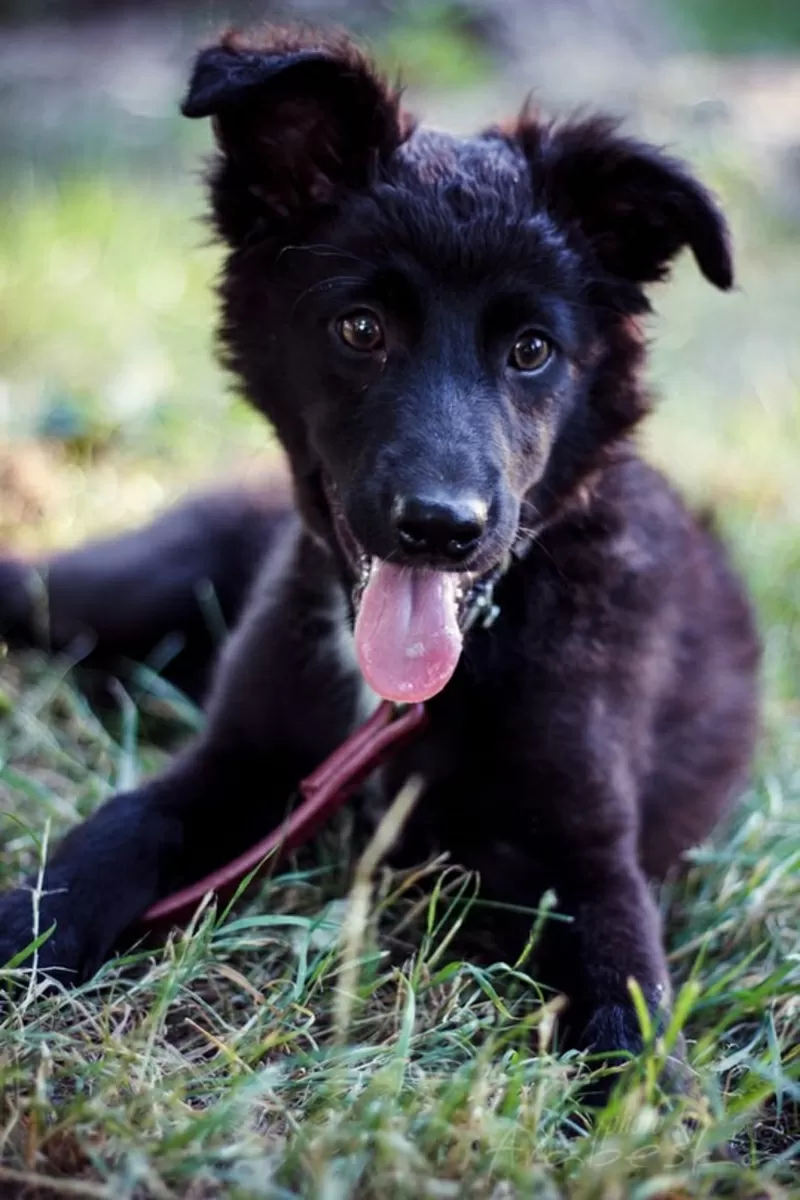 Активная Соня 3