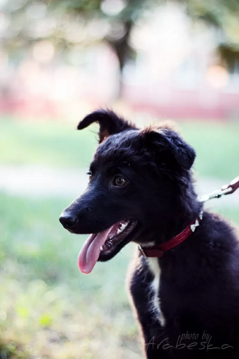 Активная Соня 4