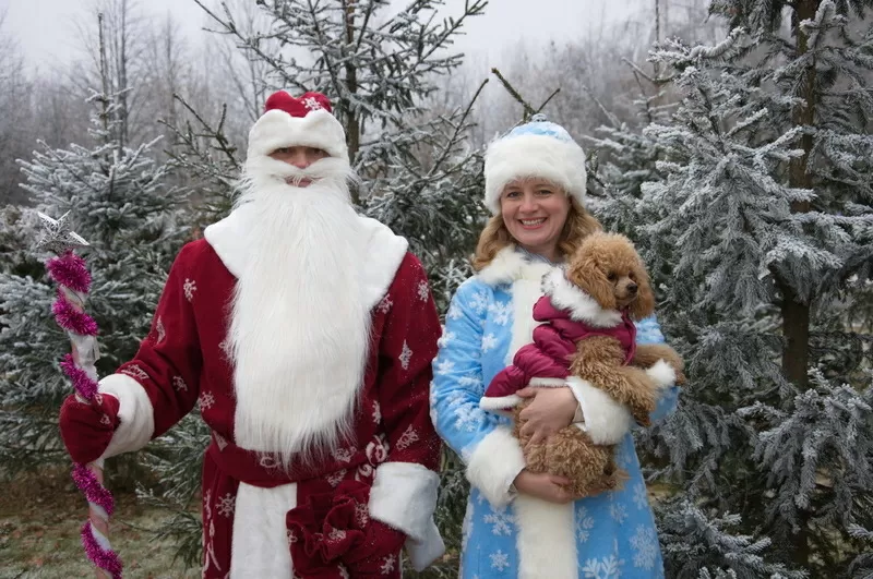  Дед Мороз и Снегурочка спешат к Вам в гости 2