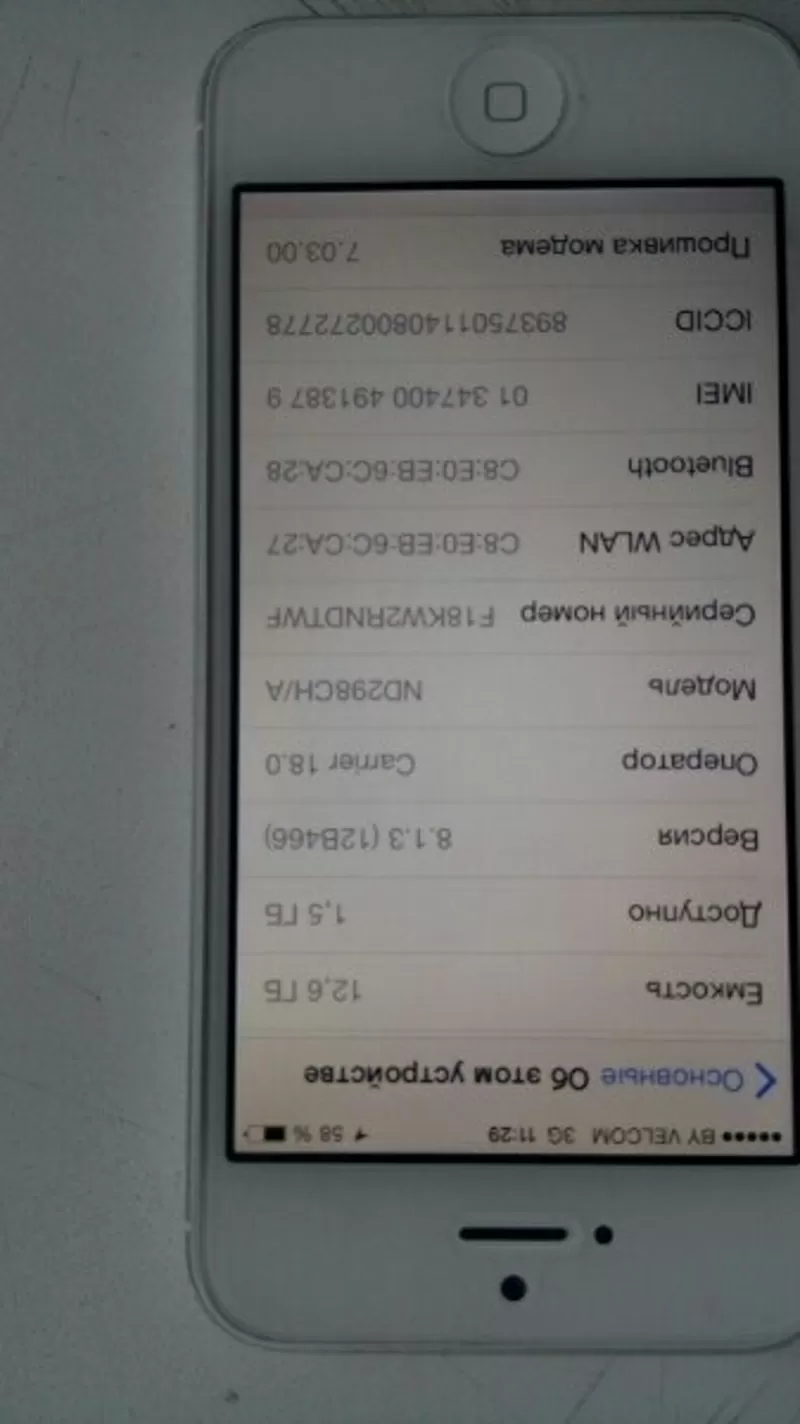 iPhone 5 16 GB white  5