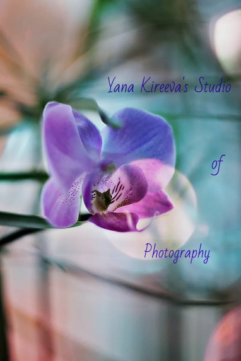 Недорогая фотосъемка от Yana Kireeva's Studio of Photography