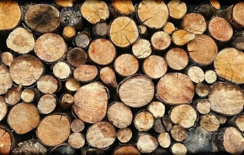продам дрова