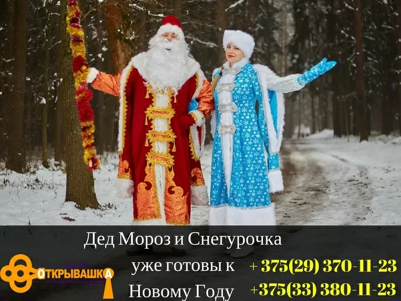 Дед Мороз и Снегурочка на дом (VIP) 2