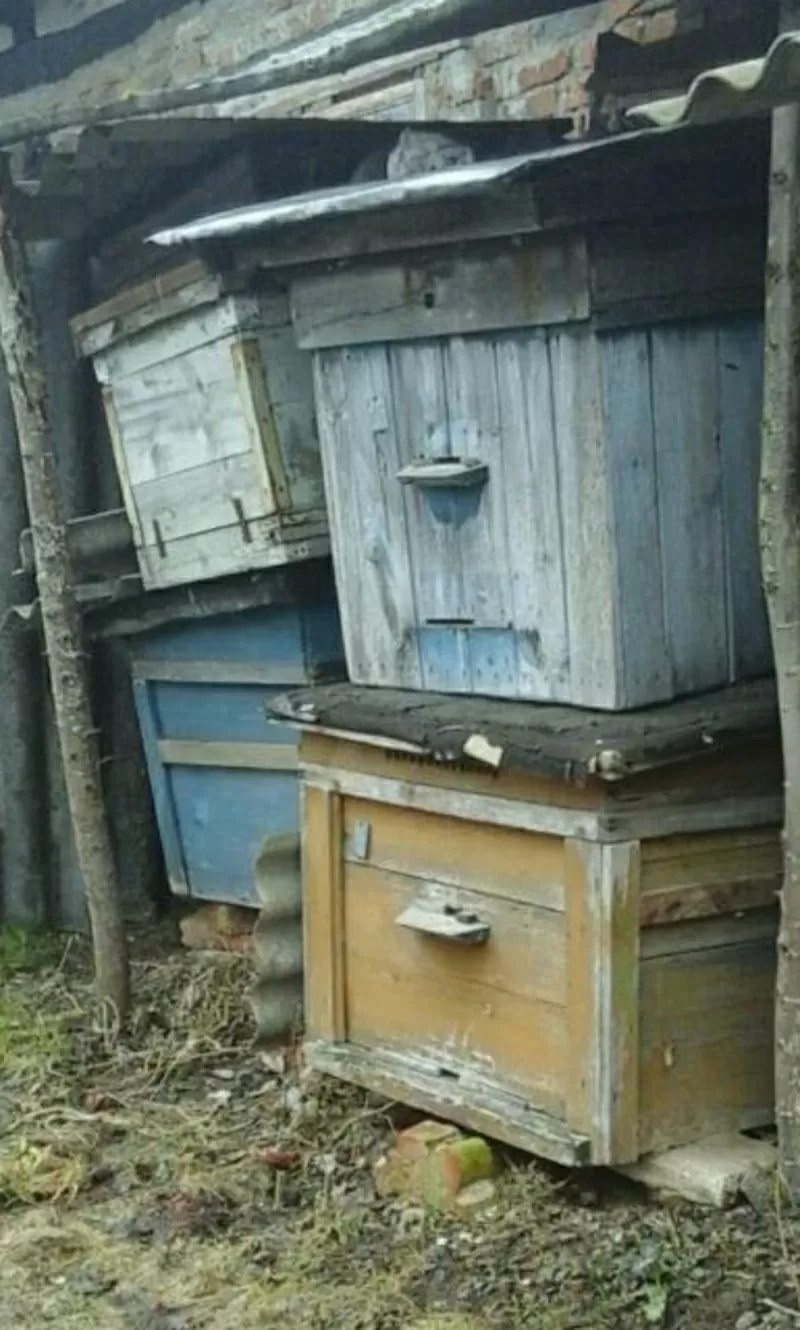 деревянные пчелиные ульи,  домики 2