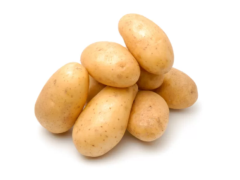 картофель ранний, капуста